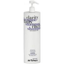 Artègo Easy Care T Clarity Shampoo šampūnas nuo pleiskanų, 1000 ml