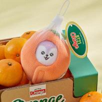 BT21 Baby Orange Party pliušiniai lėlių raktų pakabukai (7 Parinktys) MANG