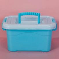 Plastikinė dėžė su dangčiu žaislams, drabužiams ir buities reikmenims Mini 20*15*9cm
