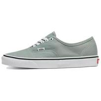 VANS Authentic Spalvų teorija - Ledkalnio žalia - VN000BW5CJL EU 37 žalia