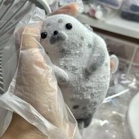 Naujoviškas Taba Squishy Lėtai atsigaunantis Didelis Ruonio Spaudomas Žaislas Animacinis Spalvingas Imitacinis Ruonio Spaudomas Žaislas Minkštas Gyvūno Ruonio Fidget Žaislas pilka