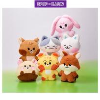 NCT DREAM su LINE FRIENDS DIDELĖ PLOKŠČIA PAGALVĖ Lemyo ver.