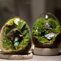 Mikro stiklinis butelis Moss Bottle Desktop Dekoratyvinis kūrybinis butelio ornamentas B balta