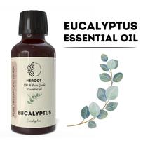 Eukalipto eterinis aliejus – Grynas aliejus, Gaivus kamparo aromatas, Natūralus kvapas Volume=10ml