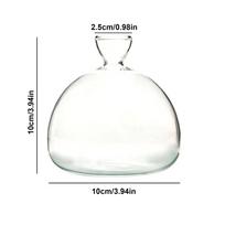 Avokado sėklų daiginimo vaza Skaidri stiklinė vaza Vaza augalų auginimui Stiklinis sėklų daiginimo rinkinys sodininkystės mėgėjams 10*10cm