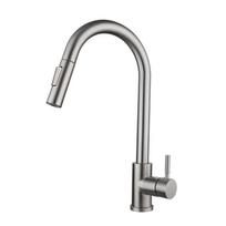304 nerūdijančio plieno ištraukiamas virtuvės maišytuvas: Karšto ir šalto besisukantis teleskopinis dizainas 201 Brushed - Includes Inlet Pipe