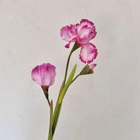 80cm Dirbtinio Íriso Gėlės Šakelė Fotografijos Rekvizitas Daugiafunkcinės Scenos Imitacijos Šakos Aliejinės Tapybos Stiliaus „Pasidaryk Pats“ Aksesuarai rožinė raudona spalva