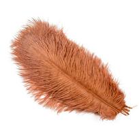 Natūralūs stručio plunksnos 25-30cm 30-35cm Vestuvių dekoravimas Stalo puošmenos Karnavalas Plumas dekoras 10 vnt./maišelis Spalvoti „pasidaryk pats“ plunksnos 25-30cm  10-12inch ruda