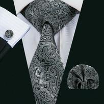 Hi-Tie Mens Paisley Silk Tie Verslo vestuvinis kaklaraištis Hanky ​​rankogalių segtukai N-0209
