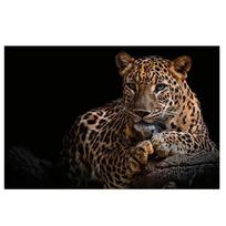 Gyvūnų meno plakatas Sunkus leopardas Sienos meno paveikslas Drobės spaudinys Tapyba Madingas namų dekoras Svetainės miegamojo dekoras Be rėmo 30x45cm No Frame