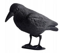Paukščių baidyklė GardenGuard Raven, 35x22 cm
