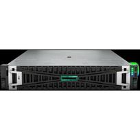 HPE PL DL345g11 AMD Epyc 9115 (2.6G/16C) 2x32G 2x960G 2x1000W MR416i-p 8SFF 4p1G Smart Choice | P81839-425 | 4549821642342