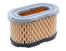 Oro filtras Briggs & Stratton ovalus Europa / Quantum pasirinktiems modeliams