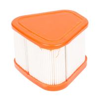Oro filtras Briggs & Stratton 850
