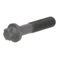 Torx galvutės varžtas 4123112