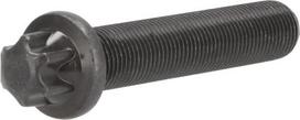Torx galvutės varžtas 4253406