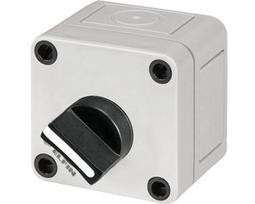 Plastikinė dėžutė 2P selektoriui 080C06065SM