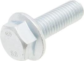 Antkaklinis varžtas M10x30 901643100
