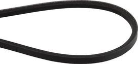 Trapecinis diržas Stiga tinka Castelgarden 843 mm 10 mm OEM 135064392/0 (1350643920)
