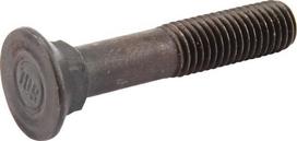 Įleidžiamas varžtas M12x65 506202