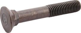 Įleidžiamas varžtas M12x75 506204