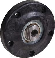 Guolio dangtelis Amazone (965249)