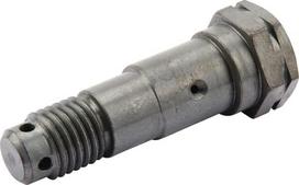 Ekscentrinis varžtas M24x91/D32-28-2 3018206