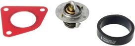 Maxxum termostatas 47616858