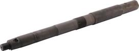 Šarnyro kaištis (spindle pin) Zetor 55113674