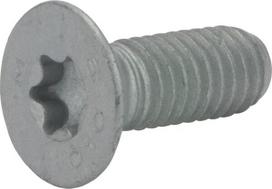 Įleistagalvis Torx varžtas FE/ZN 80110614