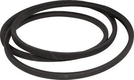 Trapecinis diržas AYP 532174883