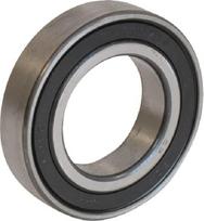 Rutulinis guolis 6007-2RS1-C3 Tulip 9100100861