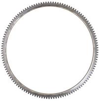 Smagračio vainikas C-330 26900050001841