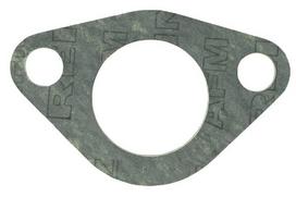Vandens kolektoriaus tarpinė 3055306R3