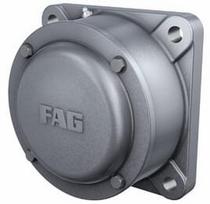 Guolio korpusas FAG F516AL