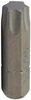 Antgalis 1/4" Torx 40 ilgas 25 mm EX140