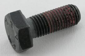 Varžtas M10x1,25x25 Maschio F01010246R