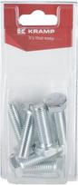 Varžtas M12x40 mm 8.8 (6 vnt.) KR9331240P06B