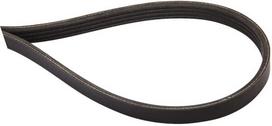 Trapecinis diržas Massey Ferguson (AGCO) 3789028M1