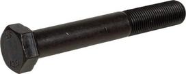 Varžtas M16x1.5x110 DIN 960-12 960D1615110M