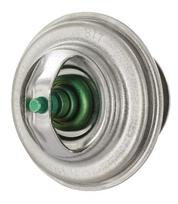 Termostatas F119200050040