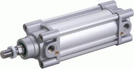 Standartinis cilindras DN50450CMG2