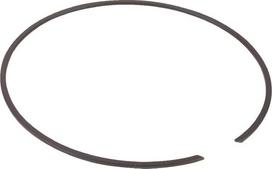 Vidinis fiksavimo žiedas 175x2.5mm IDC ® BR175
