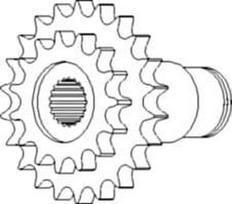 Žvaigždutė AV103529