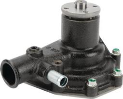 Vandens siurblys Massey Ferguson (AGCO) ACP0500510