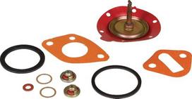 Kuro siurblio remonto komplektas – Case IH K262265