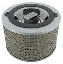 Hidraulinis filtras Argo K3140951