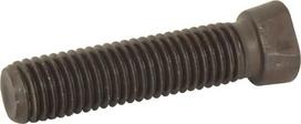 Varžtas M12x55 12.9 KK013255