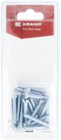 Varžtas su įpjova M5 x 30 mm (20) KR84530P20B