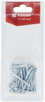 Drožlių plokštės varžtas 4.5 x 40 mm (20) KRSPS4540P20B